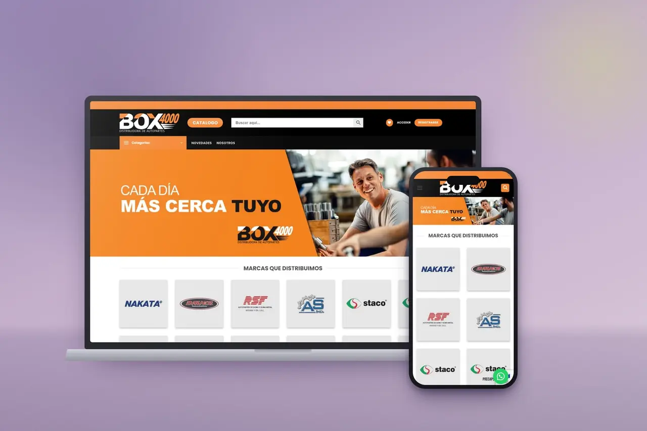 Proyecto Box 4000