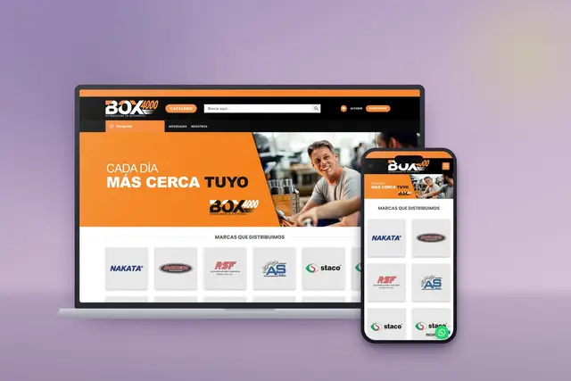 Proyecto Box 4000 — Mayorista