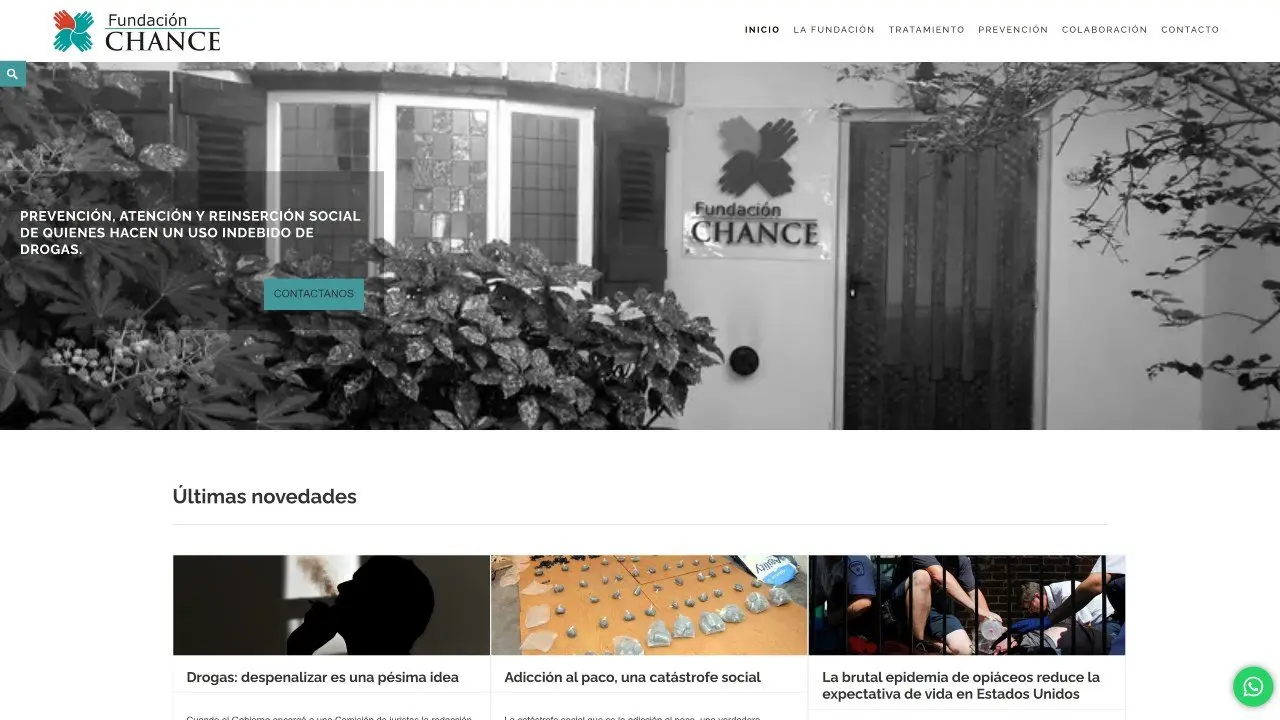 Proyecto Profesional diseño web institucional en Mar del Plata para Fundación Chance
