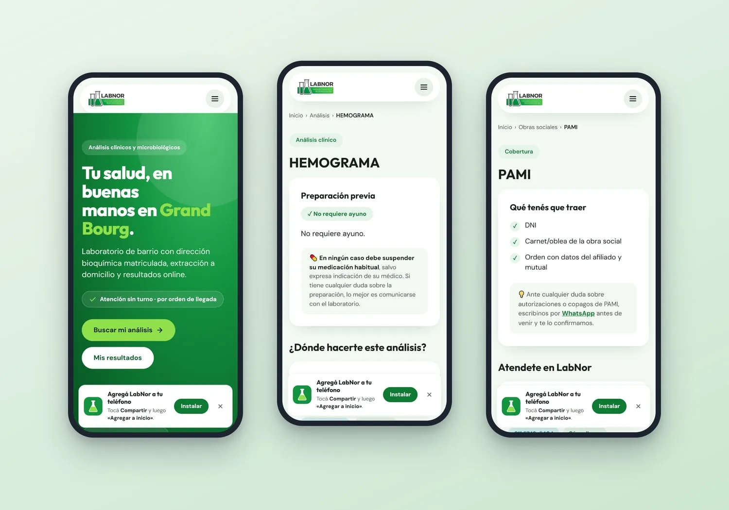 Recorrido de un paciente en la web de LabNor: inicio con búsqueda de análisis, ficha del hemograma con su preparación previa y página de PAMI con lo que hay que llevar