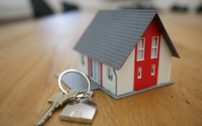 ¿Cuántas Inmobiliarias Tienen Página Web en 2025? Datos que Sorprenden