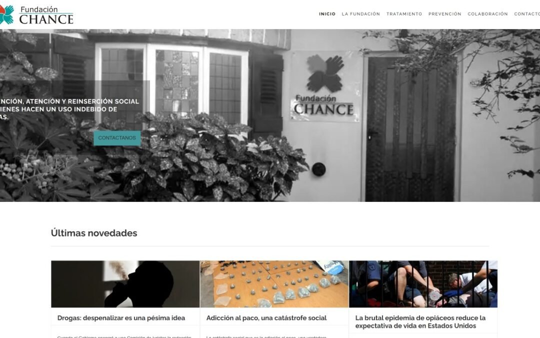 Profesional diseño web institucional en Mar del Plata para Fundación Chance